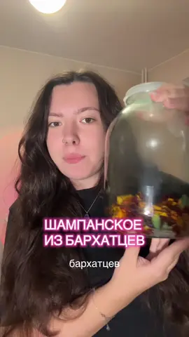 сантостефано из бархатцев #рецепт #шампанскоеизбархацев #creatorsearchinsights #fyp 