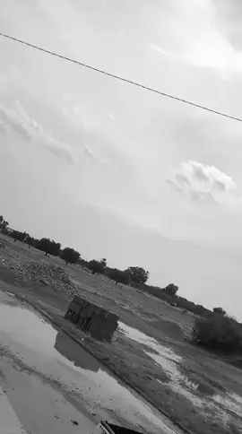 #سيدي_عمر_بوحجلة #فرنسا🇨🇵_بلجيكا🇧🇪_المانيا🇩🇪_اسبانيا🇪🇸 #music #video #viral 