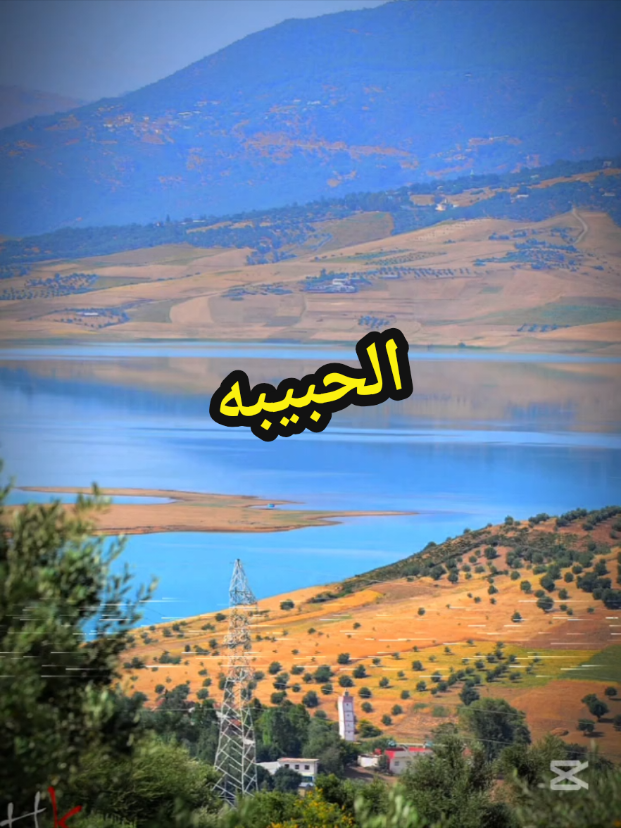 وين 📻🚬 . . . . . #الفنان_محمود_العامري #قديمك_نديمك_ذكريات🌹🌹 #صعدو_الفيديو #لايك_متابعه_اكسبلور #تصميم_فيديوهات🎶🎤 
