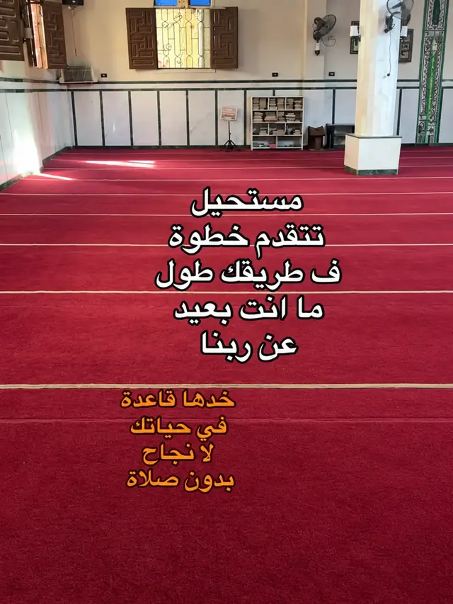 How to Perform Salah (Namaz)🕌     🤍🫀 Muslims, performed five times a day: Fajr, Dhuhr, Asr, Maghrib, and Isha. Each prayer has a set number of Rakats (units). To begin, make a quiet intention (niyyah) in your heart and stand facing the Qibla. Raise your hands and say “Allahu Akbar.” While standing, recite Surah Al-Fatihah and another short Surah. Then bow in Ruku and say “Subhana Rabbiyal Azeem.” Stand again, then go into Sujood (prostration) and say “Subhana Rabbiyal A’la.” Each Rakat includes two Sujoods. After completing the required Rakats, sit and recite Tashahhud, Durood, and a short dua. End the prayer by turning your head right and left saying “Assalamu Alaikum wa Rahmatullah.”   Always pray with Wudu and on time.#قرآن  الصلاة الصحيحة هي أداء الصلوات الخمس في أوقاتها، متطهرًا، مستقبلًا القبلة، مع استحضار النية والخشوع. تبدأ بتكبيرة الإحرام، وقراءة الفاتحة وسورة، ثم الركوع والسجود بطمأنينة، والجلوس للتشهدين (في الثلاثية والرباعية) أو واحد (في الفجر)، والختام بالتسليم، متبعًا فيها هدي النبي ﷺ [