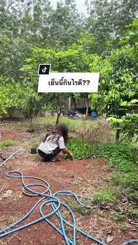 เห็นมะละกอเต็มต้นแล้วคิดถึงไตไตเลยทำเมนูแซ่บๆอวดไตไตก่อน5555😂👩🏻‍🍳#พิมชอบทําอาหาร👩🏻‍🍳 #กับข้าวที่บ้านพิม 