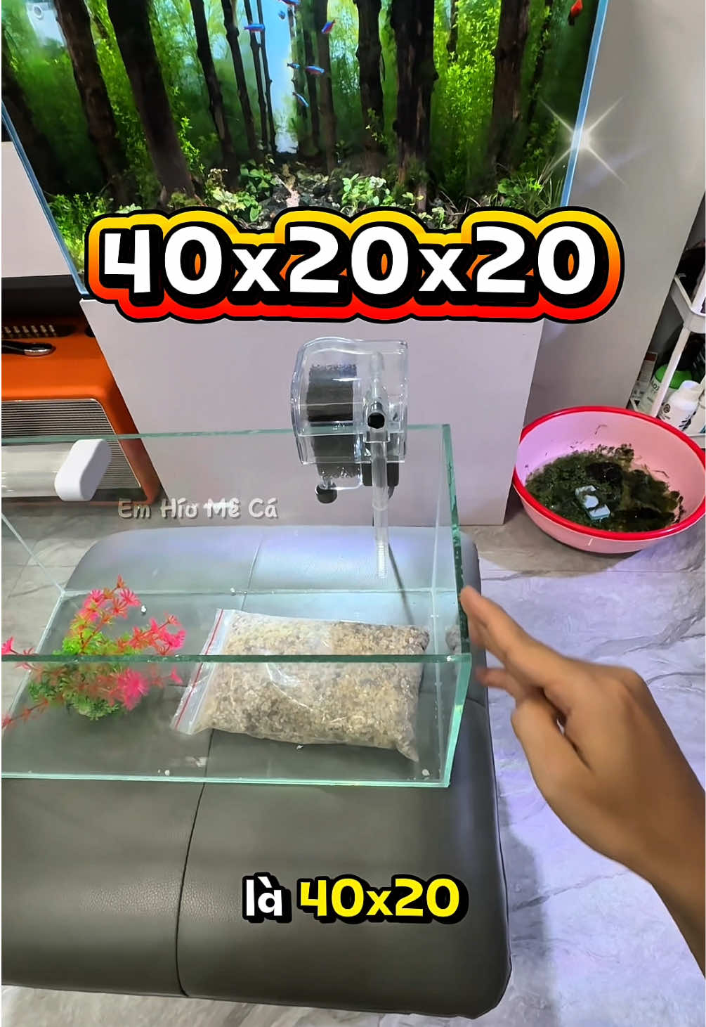 combo hồ cá kích thước 40x20x20 đầy đủ phụ kiện kèm theo cho ae setup hồ cá #cácảnh #thuysinh #thuỷsinh #emhíumêcá 