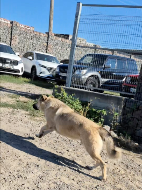 Але є авто від 2 500$, тому приїжджайте дивитись 📍 м. Одеса, вул. Аеропортівська, 27/1 🕙 щоденно з 𝟵:𝟬𝟬 до 𝟭𝟵:𝟬𝟬 0️⃣6️⃣7️⃣  7️⃣7️⃣  2️⃣2️⃣  8️⃣8️⃣8️⃣ ⠀ ⠀ ⠀ ⠀ #одеса #автодо3000 #автоплощадка #автосалон #бюджетніавто
