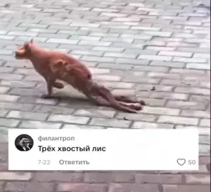 эдит омни мену я готов спалить эту планету до тла#пацаныващеребята  #fortnite#halflaif2#invincible#ELITE#fyp#fyp#эдит#стендофф2топчик🥵👿😈#какахажирная#слайдшоу 