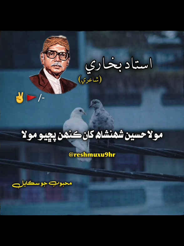 #ustadbukhari #sindhistatus🔥 #foryoupage❤️❤️ #unfreezemyacount #pleasedontunderreviewmyvedios🔥 
