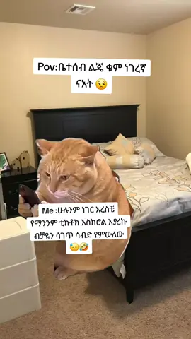 #CapCut #MemeCut #Meme #viraltiktok #fypシ゚ 