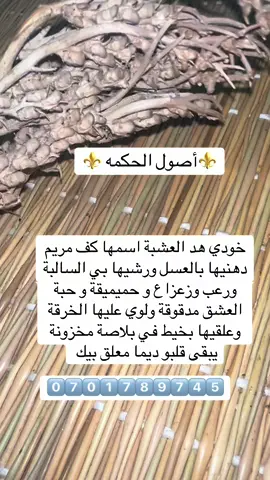 #طاقات #عيشة_قنديشة #بابا_ميمون🖤🖤🖤🖤🕯️🕯️🕯️ #ميمونة_بواب_گناوة🖤📿🖤 #فرنسا🇨🇵_بلجيكا🇧🇪_المانيا🇩🇪_اسبانيا🇪🇸😕 