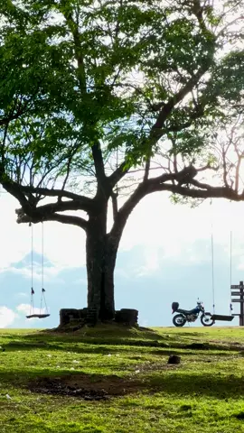 The kind of place that feels like a forgotten dream.” 🌲 #twsrilanka #rider #viral #yamahatw #motorbikelife 
