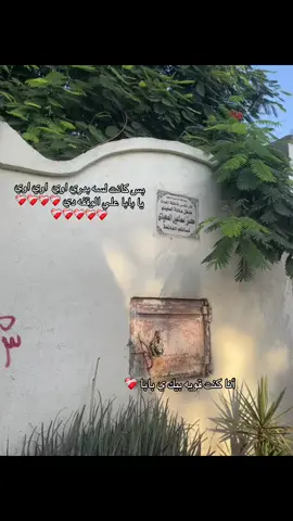 في ذكرى وفاة أبي، ما زال غيابه يؤلمني وكأن الفقد كان بالأمس.. رحم الله وجهًا اشتقت لرؤيته، وصوتًا اشتقت لسماعه، وقلبًا لن يتكرر أبدًا. اللهم ارحم أبي واغفر له، واجعل قبره روضة من رياض الجنة، واجمعني به في جنتك. 🤲🏻❤️‍🩹#باباحبيبي_رحمك_الله #فراق_الحبايب💔 #fypシ #fyppppppppppppppppppppppp #فقيدي_اشتقت_ٳليك 