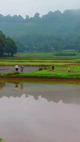 #സ്വപ്നസഞ്ചാരി🥰🥰 ,,, * പാട്ടിനെ പ്രണയിച്ചവൻ * ❣️❣️❣️❣️❣️❣️❣️❣️❣️❣️❣️