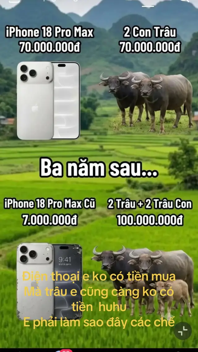 #đàiloanvietnam🇻🇳🇹🇼 #CapCut #xuhuongtiktok 