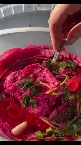 🥬 КАПУСТА «3-Х ДНЕВКА»  Всего лишь  3 дня будет готово  📝 ИНГРЕДИЕНТЫ: 🥬 Капуста — 1 кочан (~1 кг) 🫜 Свёкла — 2 шт. 🥕 Морковь — 1 шт. 🧄 Чеснок — 1 головка 🌿 Петрушка — 1 пучок 🌶️ Острый перец — по желанию 🥣 МАРИНАД: 💧 Вода — 1,5 л 🧂 Соль — 2 ст. л. 🍚 Сахар — 4 ст. л. 🍃 Лавровый лист — 2–3 шт. ⚫ Чёрный перец горошком — 10 шт. 🥄 Уксус 70% — 2 ст. л. 👩‍🍳 ПРИГОТОВЛЕНИЕ: 1️⃣ Капусту нарезаем крупными кусочками. 2️⃣ Свёклу и морковь нарезаем, чеснок измельчаем. 3️⃣ В подходящую ёмкость выкладываем капусту, свёклу, морковь, чеснок, петрушку и острый перчик слоями. 4️⃣ Для маринада в воду добавляем соль, сахар, лавровый лист и чёрный перец. Доводим до кипения. 5️⃣ Снимаем с огня и добавляем уксус 70%. Перемешиваем. 6️⃣ Заливаем капусту горячим маринадом. 7️⃣ Накрываем и оставляем в прохладном месте на 3 дня. 🥬✨ ❄️ Хранить готовую капусту в прохладном месте. ❤️ Если рецепт понравился — поставьте лайк и сохраните, чтобы не потерять! 🔔 ПОДПИШИТЕСЬ НА МОЮ СТРАНИЦУ! Здесь каждый день новые вкусные и простые рецепты 😍 📌 Сохраняйте рецепты, делитесь с близкими и обязательно возвращайтесь за новыми идеями! 💕  #маринованнаякапуста #капуста #капустарецепт #заготовки #домашниезаготовки     