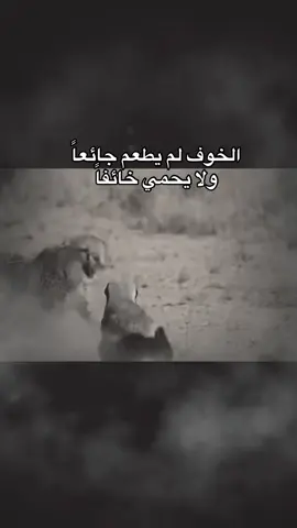 شيء من الخوف