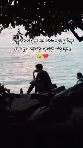 তোমার কথা ভেবে মন খারাপ হলে দুনিয়ার কোন সুখ আমাকে হাসাতে পারে নাহ্.! 😥💔 #foryou #foryoupage #TextToSpeech #tiktok #bdtiktokofficial 