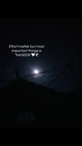 @Mahmudul Hasan: Effort matter but most important things is ''NASEEB''🤍 #fyppppppppppppppppppppppp #viewwwwwwwwwwwwwwwwwwwwwwwwwwwws #trending  