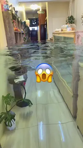 #flicenflac #mauritius🇲🇺 #viralvideo #reels #waterpark 