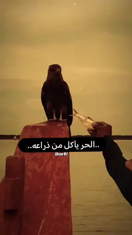 لايك#متابعه #فضلا# وليس#أمرآ# اعمارچي🥀%creatorsearchinsight