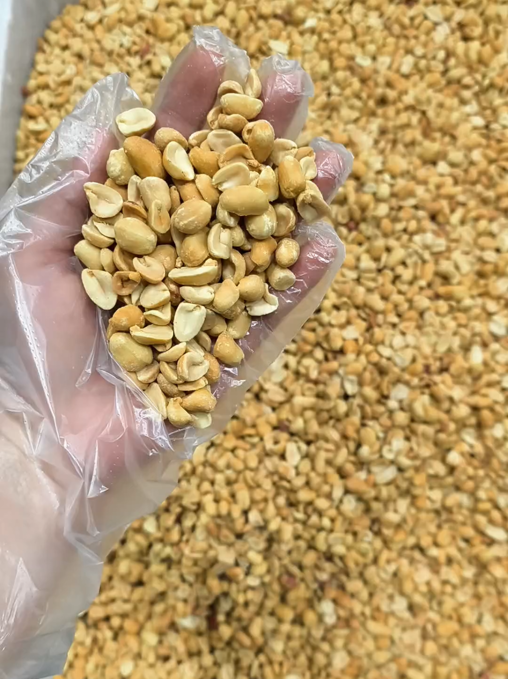 10 hạt như cả mười giòn thơm bùi ngậy, Em vừa mới sàng xẩy sạch sẽ đem giã làm muối vừng đây ạ, thương mời cả nhà!  #videoviral #xuhuong #monchay #muoivung #muataitiktok 