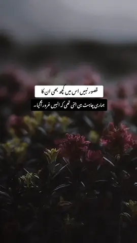Repost request 🥺🙌#ahmad_4665 #foryoupage❤️❤️ #urdushayari #viralvideo #unfreezemyacount #fypppppppppppppppppppppp 