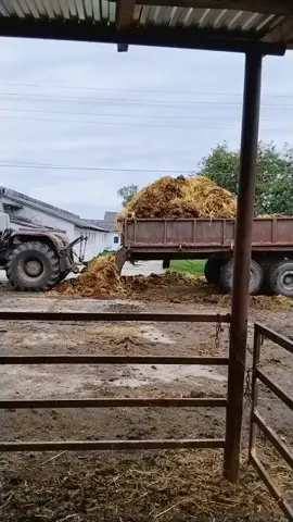 #роботанавітьвдощіснує😂😂😂@Ярик Ковальчук 