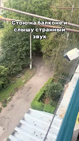 ТГК: Чернявская_про_био
