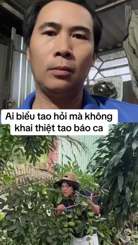 #xuhuongtiktok #haihuocvuinhongiaitri 