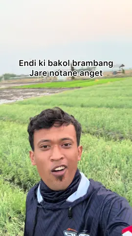 Endi ki bakul brambange