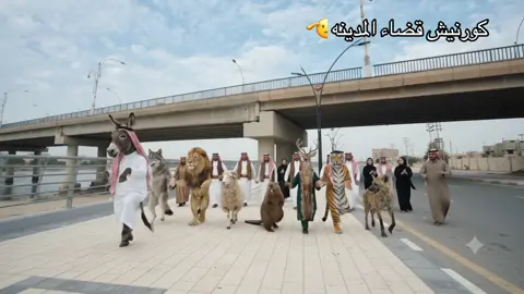 #ذكاء_اصطناعي 