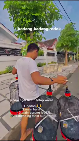 4 TIPS BIAR HIDUP NGGAK MUMET 🤣 1. Ibadah yang rajin 🤲 2. Main burung yang rajin 🐦 3. Pusing? Main burung lagi 4. Tambah pusing? Ya mending main burung, daripada main perasaan! 😂😂 #andribolang #ngawisf #muraibatujuara #ngawi24jam #bolangproduction