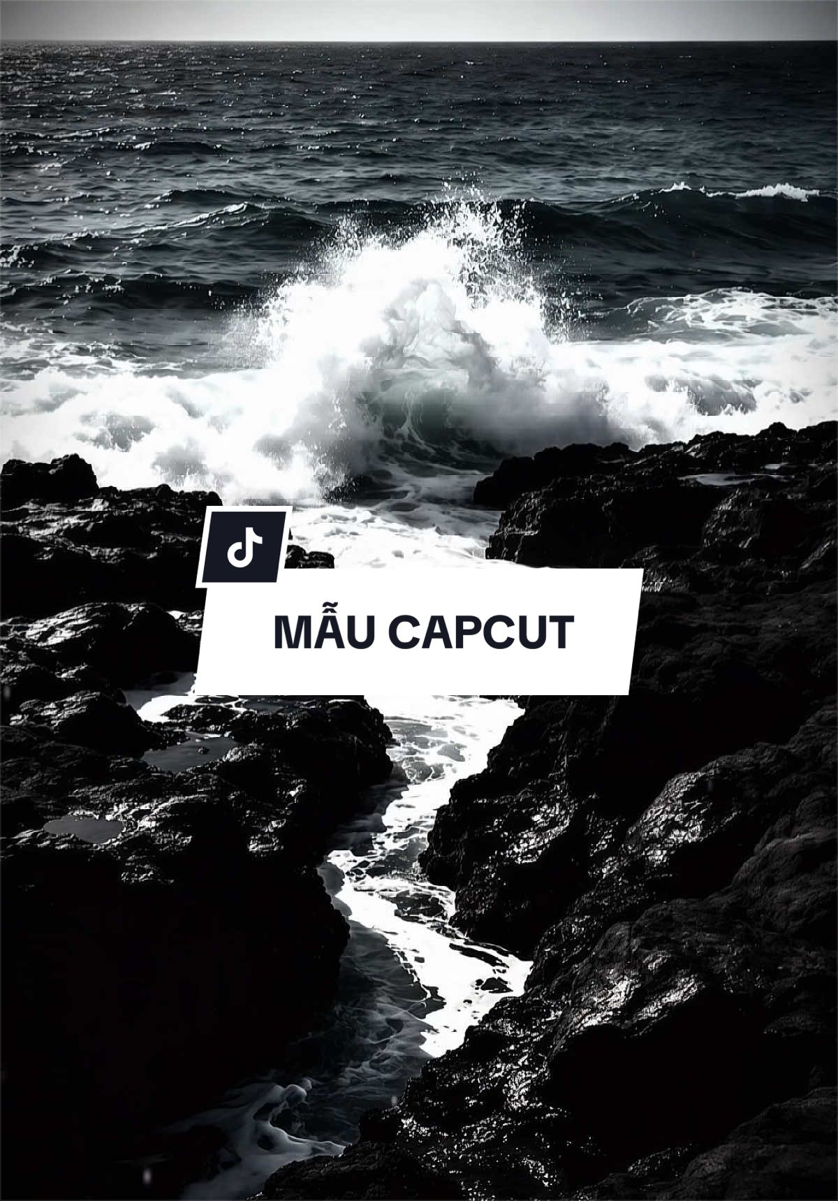 là mày biết đến chị Ngọc Anh..#capcut #capcutpioneer #pioneertemplate #nhacchaymoingay #maucapcut 