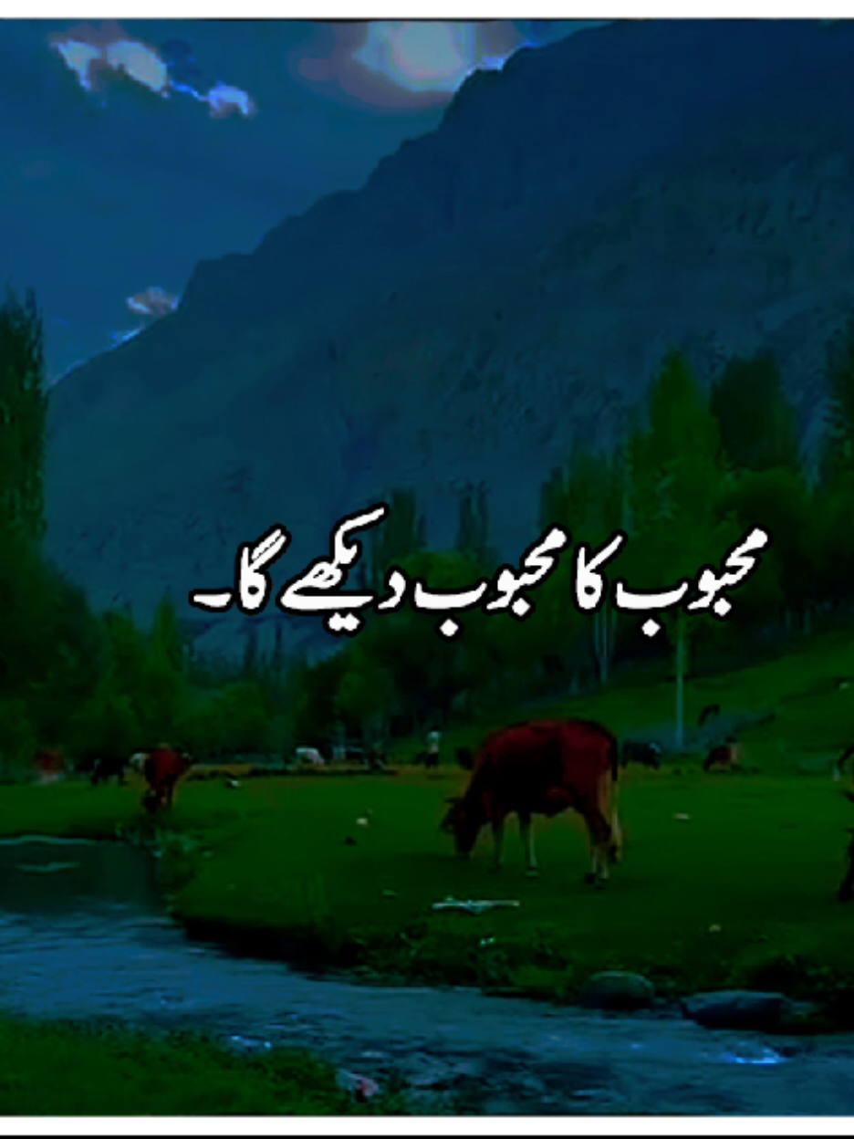 𝐏𝐚𝐢𝐝 𝐏𝐫𝐨𝐦𝐨𝐭𝐢𝐨𝐧 𝐀𝐯𝐚𝐢𝐥𝐚𝐛𝐥𝐞 ❣️ #aesthetic #poetry #urdupoetry #poetrystatus #fahadtypist3 @تلاشِ سکون ☾🥀 