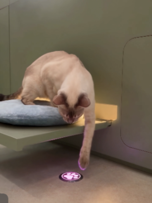 Bro Presses A Button And Gets A New Surprise Every Time #broanddickens #cat