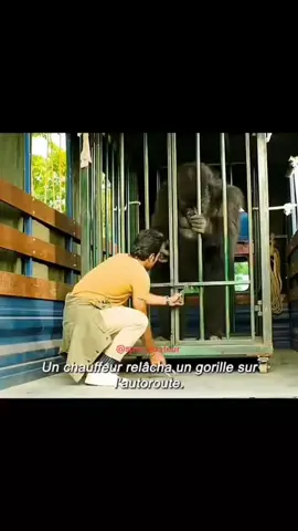 #viral_video 