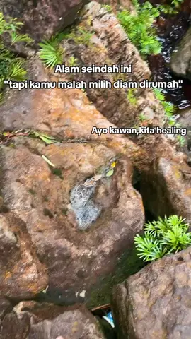 Ayo kawan.#wisataalam #airterjunsakadua #kabupatensanggau #kalimantanbarat #fypシ゚viral 