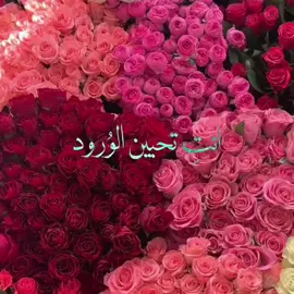 ردوا ياهَوى العِندي☀🌷.  #fyp#fypシ゚viral#ورود#like#explore 