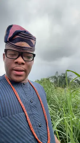 😂😂OLAUYE REAL ESTATE #creatorsearchinsights 