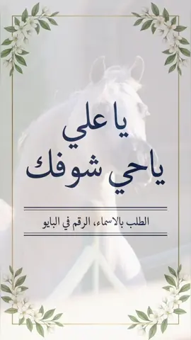 شيلة مدح علي ||ياعلي ياحي شوفك ||الطلب بالاسماء الرقم في البايو #اعادة_النشر🔃 #اكسبلورexplore #استديو_تنفيذ_شيلات 