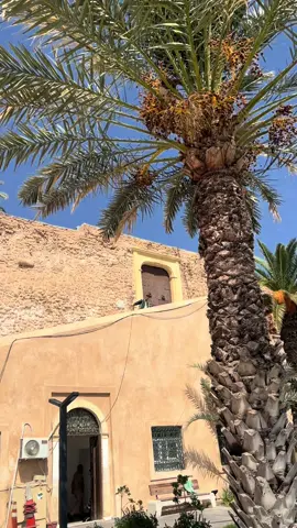 ‏عبد المعين ملك البتناج#fypシ゚viral🖤tiktok☆♡🦋myvideo❤️❤️🥰🥰 #الزنتان_طرابلس_مصراته_الزاويه_ليبيا🇱🇾 #🇩🇿🇲🇦🇹🇳🇱🇾🇱🇧🇸🇩🇮🇶🇸🇦🇯🇴🇾🇪🇸🇾🇦🇪🇸🇩🇪🇬 #fypシ゚ #الزنتان_طرابلس_مصراته_الزاويه_ليبيا🇱🇾 