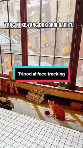 Baru best dapat yang ni #tripod #video #ai #tiktokshop 