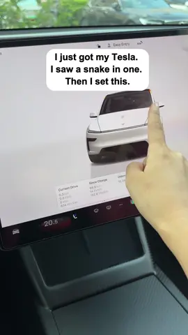 New Tesla owners,don’t forget to set this up!#tesla #teslaowner #teslatok #modelypremium #modely 