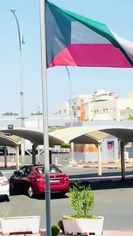 আলহামদুলিল্লাহ 🥰🇰🇼#kuwait #kucing 