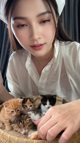 Mèo 🐈 con  đáng iêu, ai hữu duyên BL e tặng 1 coan ko bán nhoé 🤪 #trending #xuhuong #fyp #gaixinh #funnyvideos 