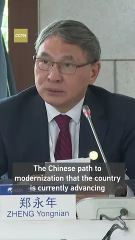 Zheng Yongnian: Chinese modernization is an 
