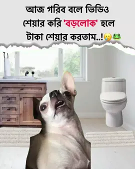 frrr 🥲🐸 #foryou #viraltiktok #fvpシ #tranding #funnyvideos 