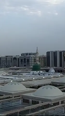 عن ام سلمة رضي الله عنها قالت لَمَّا ماتَ أبو سَلَمةَ قُلتُ: غَريبٌ، وفي أرضِ غُربةٍ، لأبكيَنَّه بُكاءً يُتَحَدَّثُ عنه، فكُنتُ قد تَهَيَّأتُ للبُكاءِ عليه، إذ أقَبَلَتِ امرَأةٌ مِنَ الصَّعيدِ تُريدُ أن تُسعِدَني، فاستَقبَلَها رَسولُ اللهِ صلَّى اللهُ عليه وسلَّم، وقال: أتُريدينَ أن تُدخِلي الشَّيطانَ بَيتًا أخرَجَه اللهُ منه؟! مَرَّتَينِ، فكَفَفتُ عَنِ البُكاءِ، فلَم أبكِ٠