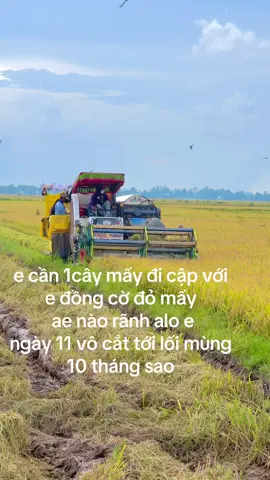alo e nhe#kubota #kubota105xบ้าพลัง #xuhuongtiktok 