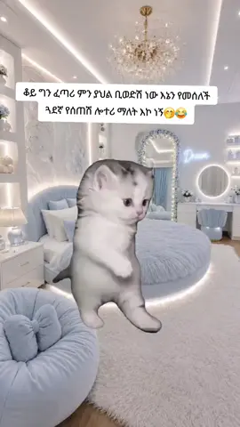 #Meme #MemeCut #CapCut 