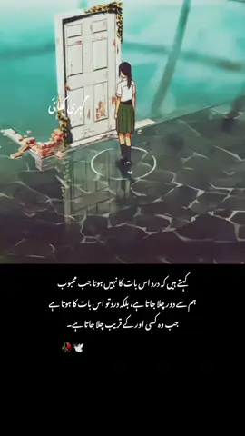 کہتے ہیں کہ درد اس بات کا نہیں ہوتا #viewsproblem #urdupoetry #unfrezzmyaccount #growmyaccount #standwithkashmir 