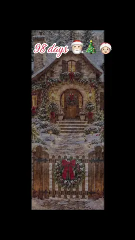 98 days until the most wonderful time of the year! #xmas #christmascountdown #christmastok #cozychristmasvibes #bermonths 