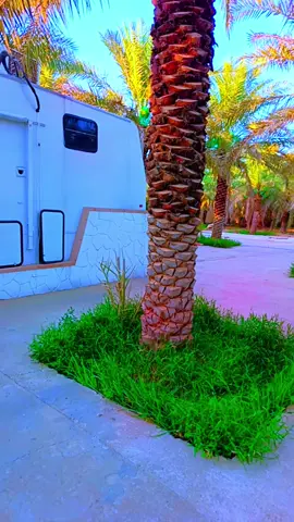 #creatorsearchinsights #سودانيز_تيك_توك_مشاهير_السودان #مشاهير_تيك_توك_مشاهير_العرب #لايك_متابعه_اكسبلور 